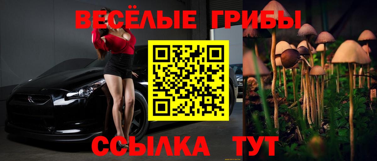 Псилоцибиновые грибы Magic Shrooms Салехард