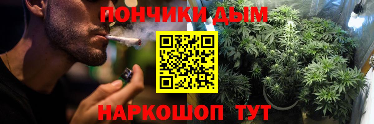 Бошки марихуана OG Kush  МАРИХУАНА ГИДРОПОН  Вход с VPN  Салехард 